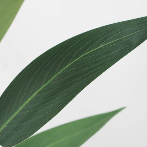 Ave del Paraíso Artificial 210 cm | Ukukhome