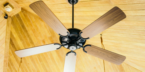 Ventiladores de techo: la alternativa eficiente al aire acondicionado para refrescar tu hogar