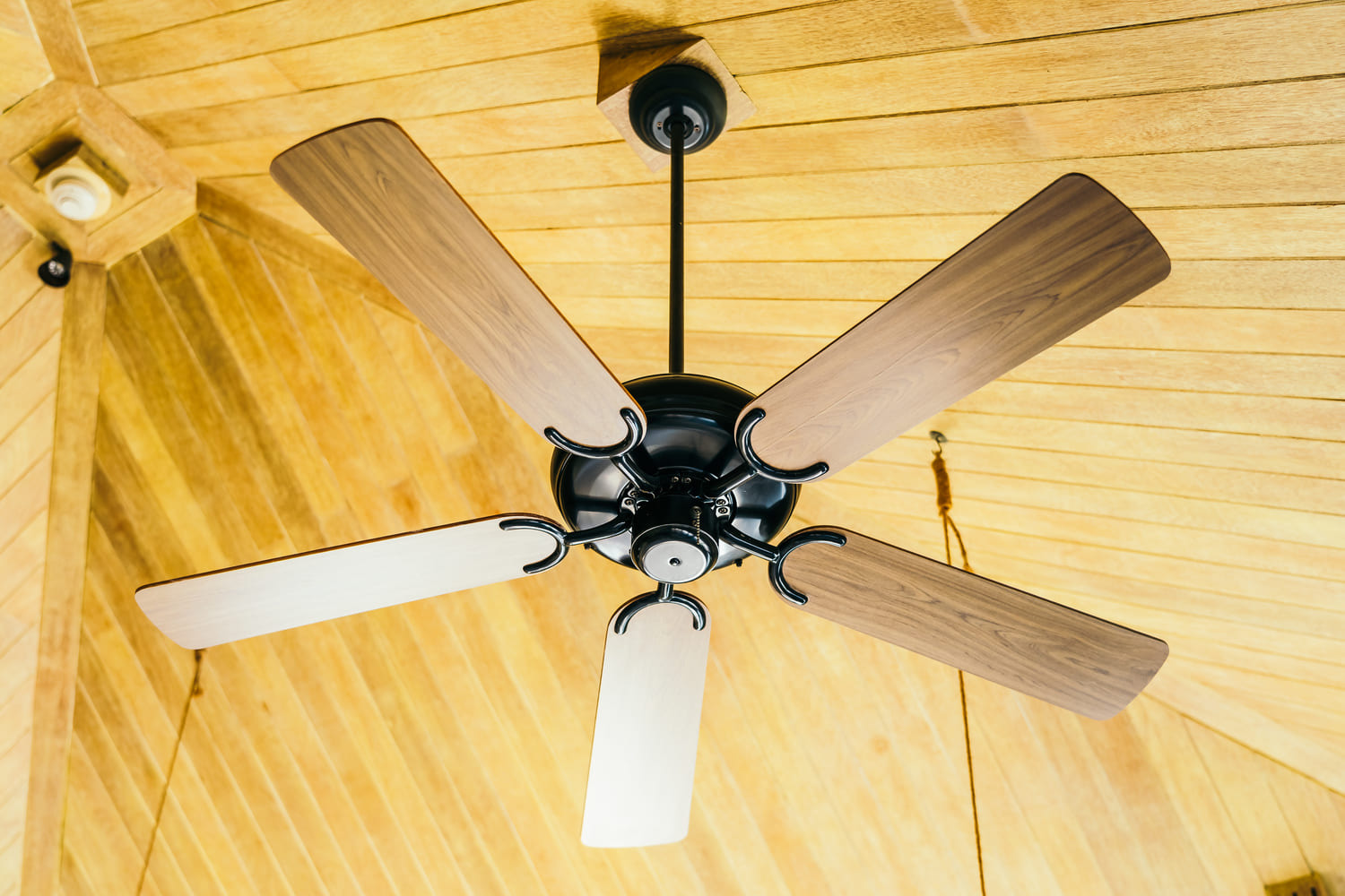 Ventiladores de techo: la alternativa eficiente al aire acondicionado para refrescar tu hogar