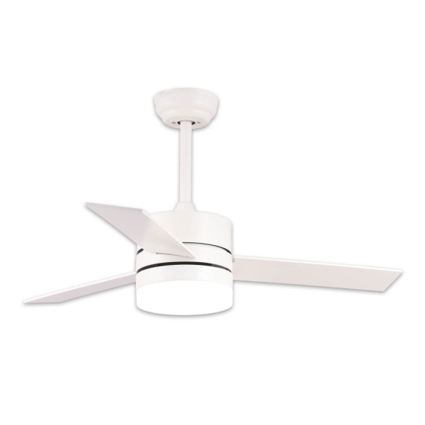 VENTILATEUR DE PLAFOND PARK