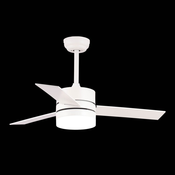 VENTILATEUR DE PLAFOND PARK 2