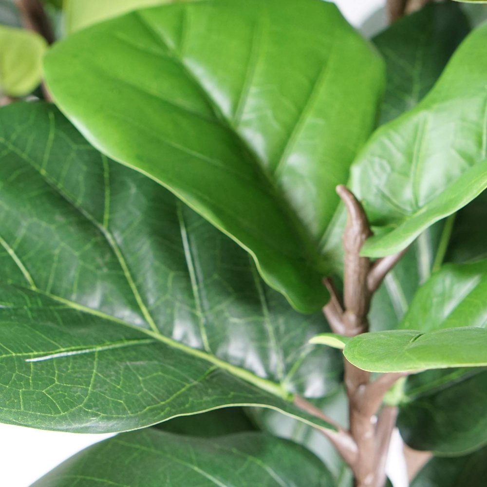 Ficus Lirata Artificiel 150 cm | Ukukhome
