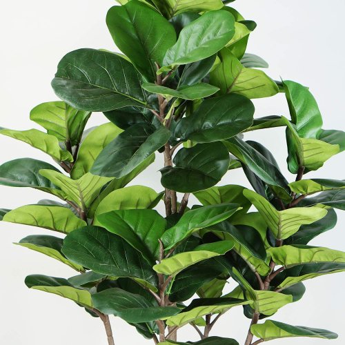 Ficus Lirata Artificiel 150 cm | Ukukhome