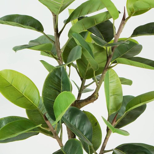 Ficus Lirata Artificiel 140 cm | Ukukhome