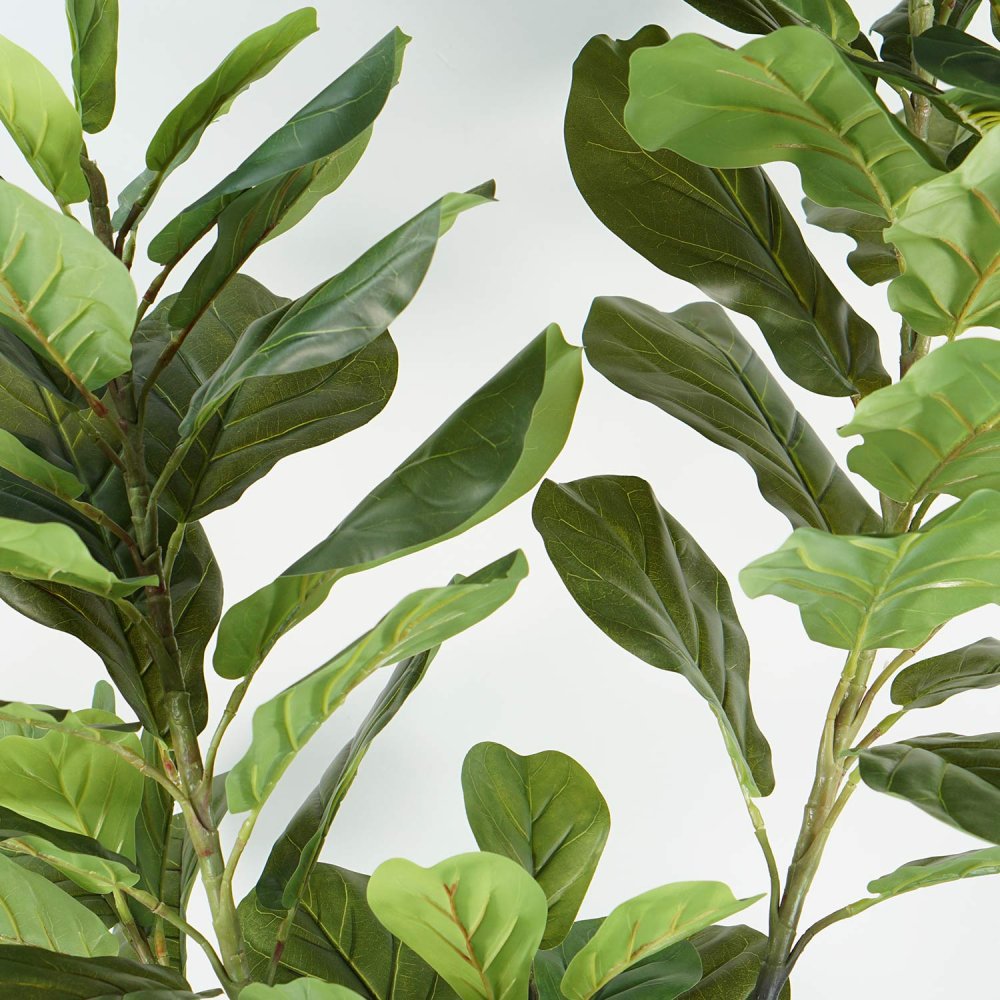Ficus Lirata Artificiel 180 cm | Ukukhome