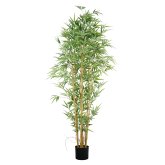 Plantes artificielles