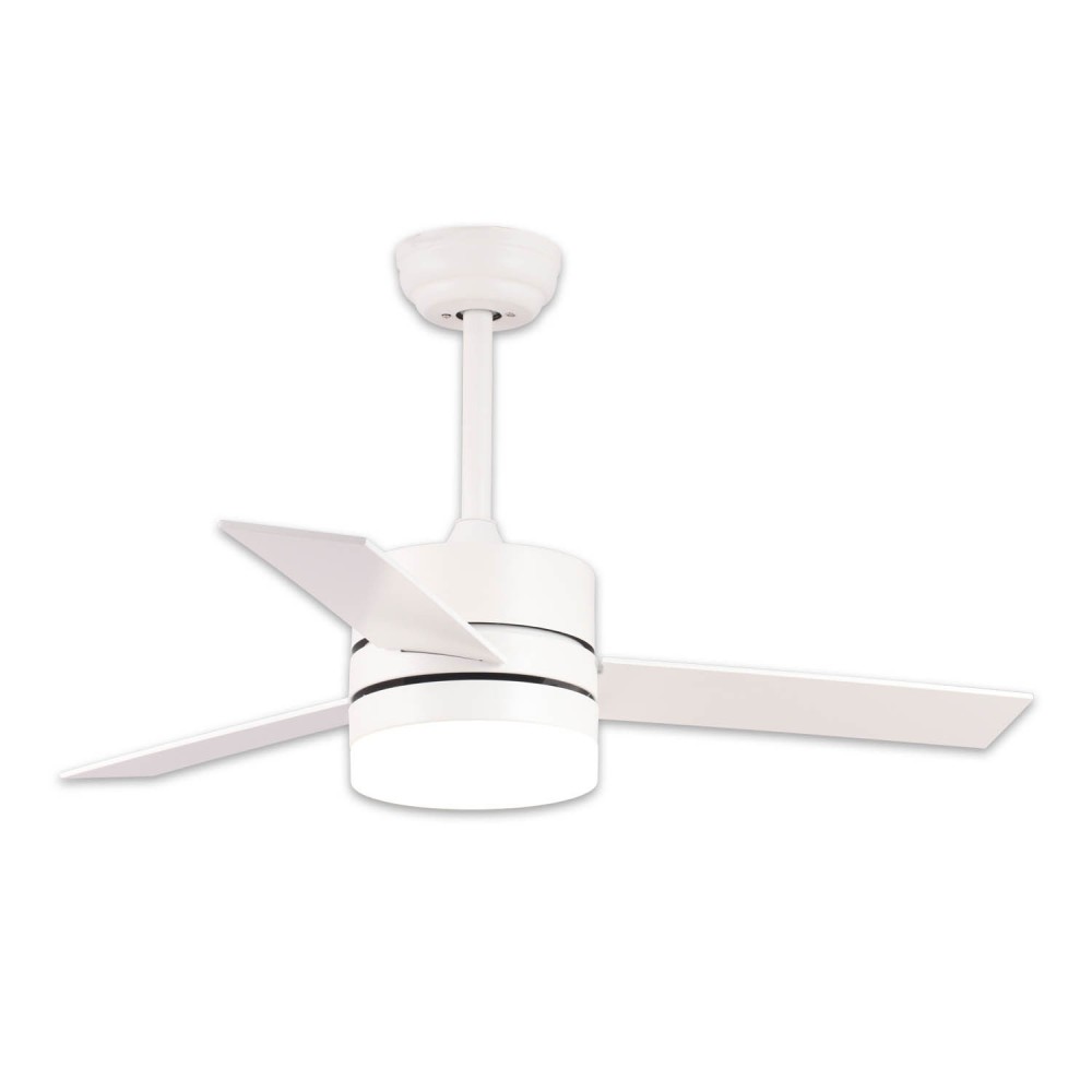 VENTILATORI A SOFFITTO PARK