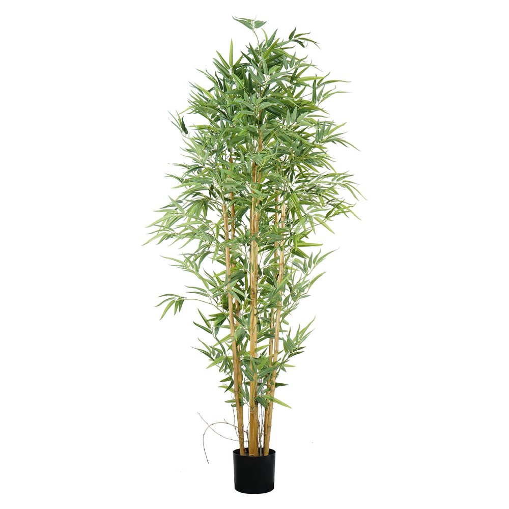 Bambù artificiale 180 cm, steli e foglie verdi iperrealiste, ideale decorazione zen degli interni, vaso nero incluso