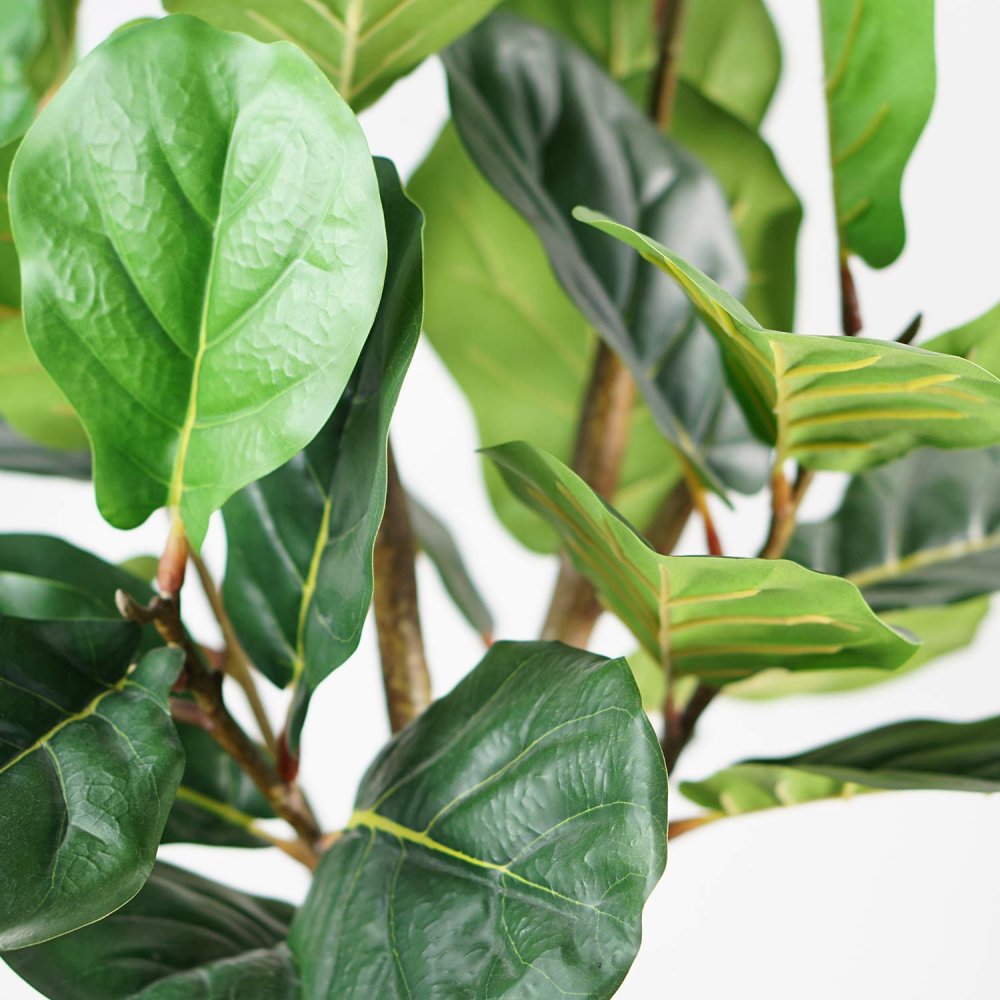 Ficus Lirata Artificiale 130 cm | Ukukhome