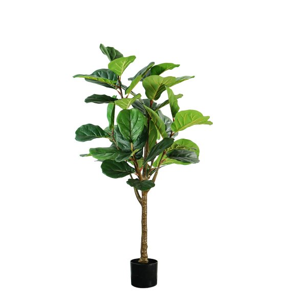 Ficus Lyrata artificiale 130 cm, grandi foglie verdi iperrealiste, ideale interni con poca luce, vaso nero incluso 2