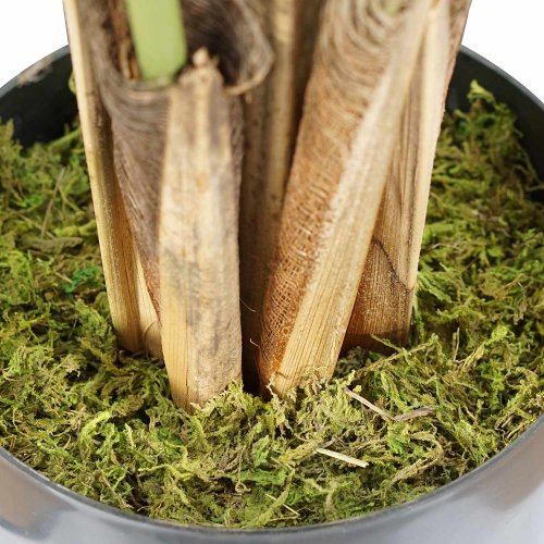 Monstera Artificiale 160 cm | Ukukhome