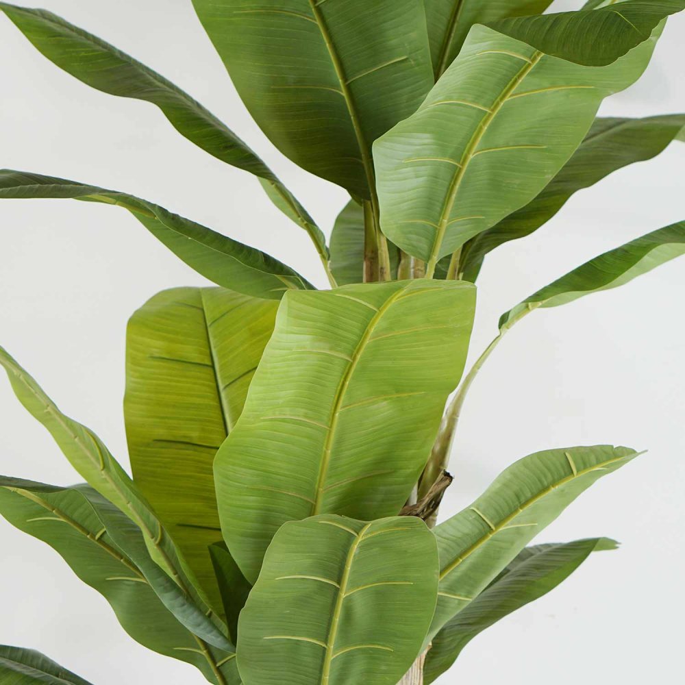 Banano Artificiale 200 cm | Ukukhome