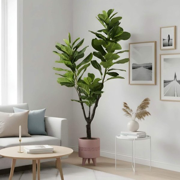 Ficus Lyrata artificial 180 cm, grandes folhas verdes hiperrealistas, ideal salas e espaços amplos, vaso preto incluído