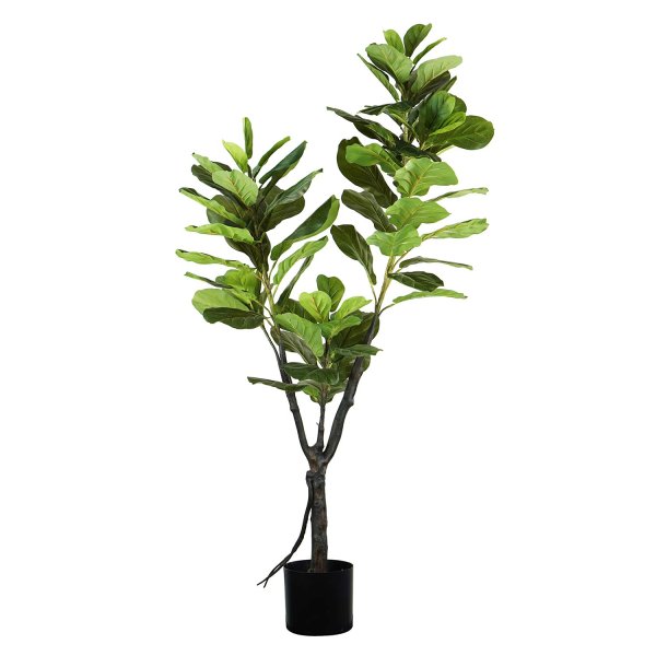 Ficus Lyrata artificial 180 cm, grandes folhas verdes hiperrealistas, ideal salas e espaços amplos, vaso preto incluído 2